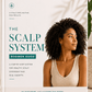 The AF Scalp System - 4-Step Scalp Care System - I am Free Hair Care